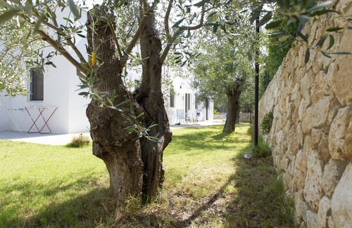 Mattinata Maison | Tranquillité et confort parmi les anciens oliviers, près de la mer.