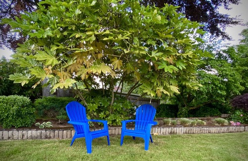 West Side Highway Maison | Tranquility on Beacon Hill