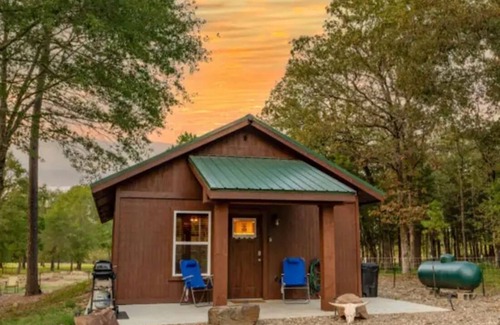Ringold Cabine | Tranquility - Secluded Cabin w/Grill & Firepit