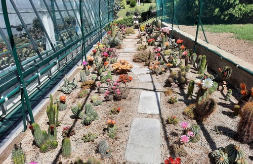 Sirtori Maison | Tranquilla Dependance nel Verde Dell'alta Brianza