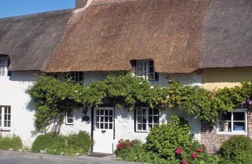 East Knighton Maison | Tranquillity Cottage