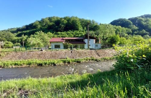 Petrosani Maison | Transilvania 10 - Casa Poarta Văii Jiului
