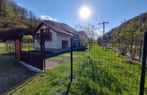 Petrosani Maison | Transilvania 10 - Casa Poarta Văii Jiului