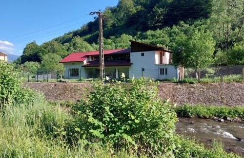 Petrosani Maison | Transilvania 10 - Casa Poarta Văii Jiului