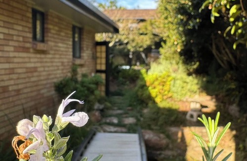 Daisy Hill Maison | Transquil Japanase Gardens Retreat@Daisy Hill