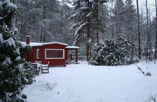 Buchholz in der Nordheide Maison | Traum Waldhaus