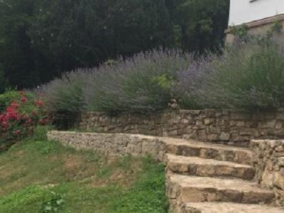 Bad Sulza Appartement | Traumparadies