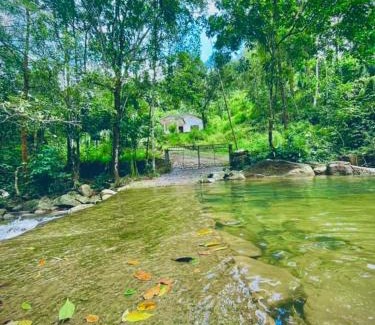 Elpitiya Autre | Travel with Thar