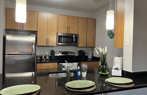 Trinidad Appartement | Traveling Professionals coming to the DMV