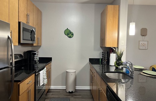 Trinidad Appartement | Traveling Professionals coming to the DMV