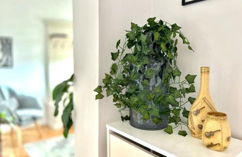 Cluj-Napoca Appartement | Travellers apartment