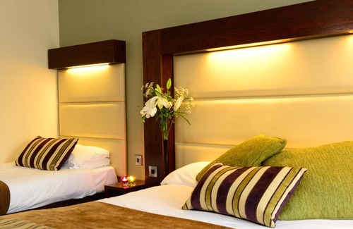 Templeshannon Hôtel | Treacy's Hotel