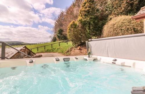 Bleddfa Cottage | TREBOETH, animaux de compagnie, avec bain à remous en Knighton, Ref 996559