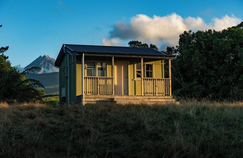 Kaitake Cabine | Tree Fuchsia Cabin