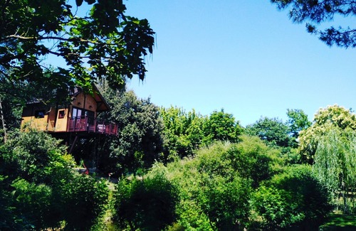 Vitellino Maison | Tree House Awen of La Bandita Farmhouse