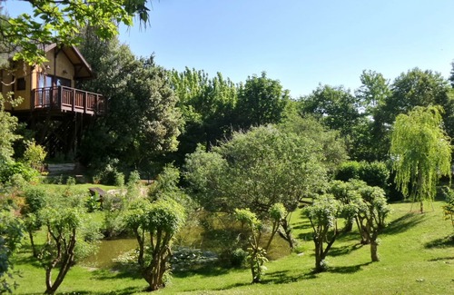 Vitellino Maison | Tree House Awen of La Bandita Farmhouse