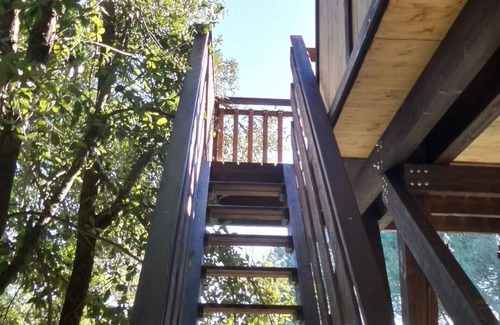 Vitellino Maison | Tree House Awen of La Bandita Farmhouse