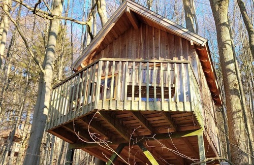 Solling Appartement | Tree house Ahletal, living/bedroom - Baumhaushotel Solling