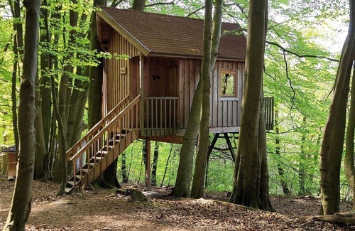 Solling Appartement | Tree house Ahletal, living/bedroom - Baumhaushotel Solling