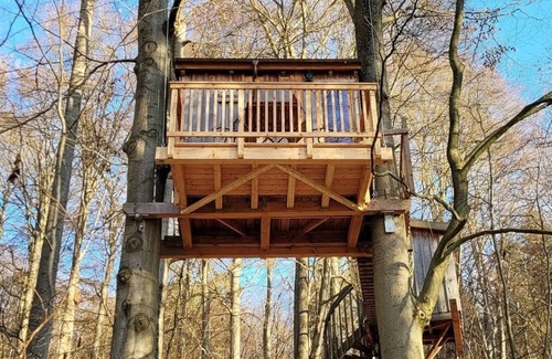 Uslar Appartement | Tree house Aurora, living/bedroom, bathroom - Baumhaushotel Solling