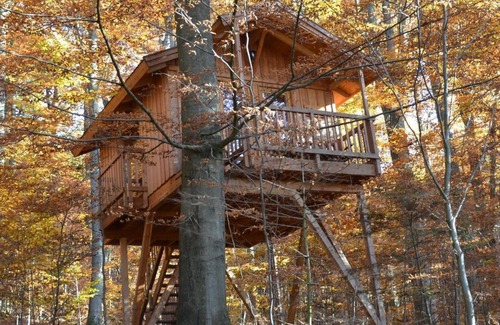 Solling Appartement | Tree house refuge, living/sleeping room - Baumhaushotel Solling