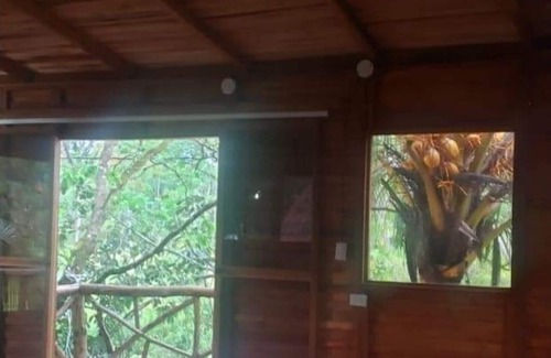 Florencia Cabine | Tree House River