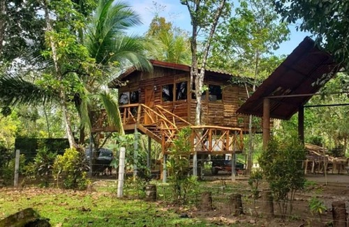 Florencia Cabine | Tree House River