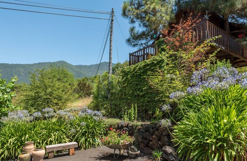 La Orotava Cabine | Tree House with farm house
