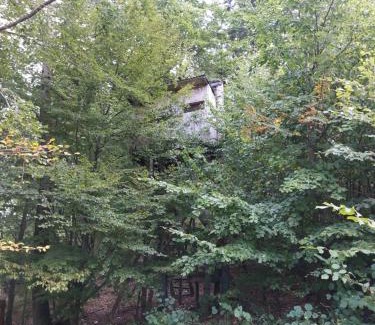 Kolarovice Autre | Tree house with private meadow in the middle of the forest