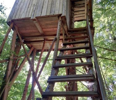 Kolarovice Autre | Tree house with private meadow in the middle of the forest