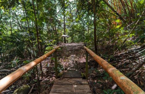 Santa Clara Cabine | Tree Houses Hotel Costa Rica