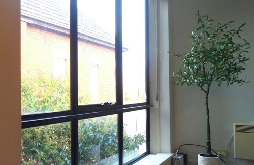 St Kilda Appartement | Tree Top Retreat - Cosy, Light Filled, Centrally Located, 1BR