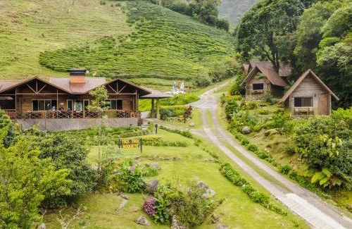 Los Naranjos Hôtel | TREE TREK BOQUETE Adventure Park