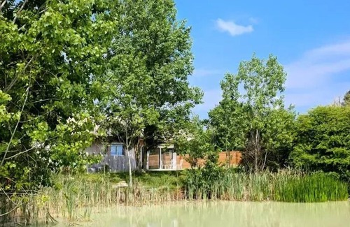 Dienne Cabine | Cabane Dans Les Arbres 4 Personnes