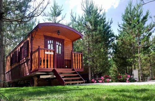 Dienne Cabine | Cabane Dans Les Arbres 4 Personnes