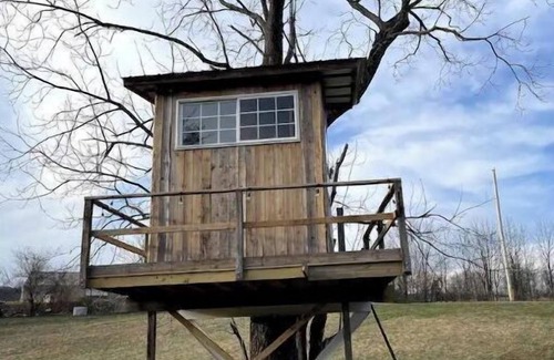 Pine Grove Cabine | Treehouse at Fairview Farms