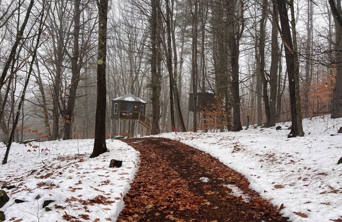Hartland Cabine | Treehouse at Wise Pines- SoBo