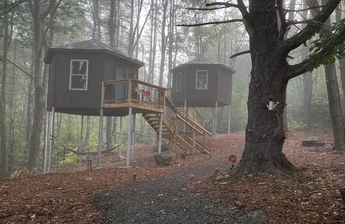 Hartland Cabine | Treehouse at Wise Pines- SoBo