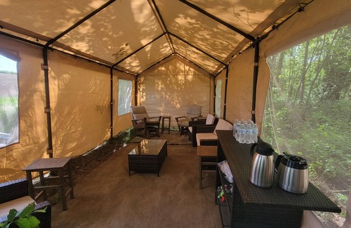 Winona County Cabine | Treehouse Cabin in the Bluff Woodlands North