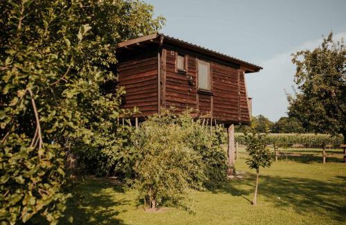Ljutomer Autre | Treehouse Drevesna hiška Štrkovo gnezdo Ranč Jureš