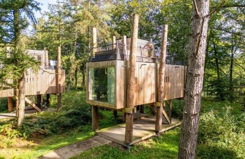 Maubray Maison | Treehouse near Tournai with Sauna Retreat