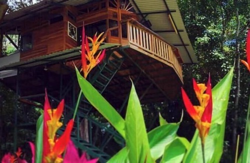 Jaco Maison | Treehouse with butterfly and exotic fruit farm