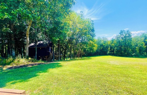 Doyle Appartement | Treehouse with Wall of Windows #love #hiking #relax #getaway #TNStateParks