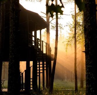 Saue Parish Cabine | Treehouseestonia