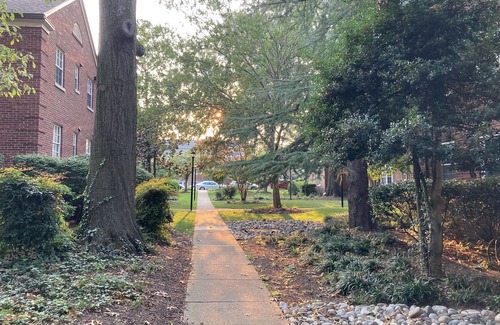 North Highland Appartement | Treetop Rosslyn with loft - Georgetown-walkable
