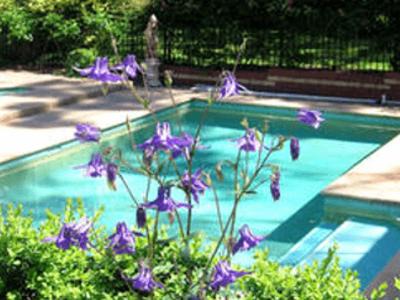 Blackburn Lit Et Petit-Déjeuner | Treetops Bed & Breakfast