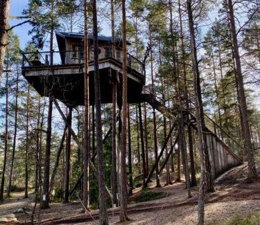Halden Chalet De Ski | Tretopphytter På Grensen - Elghytta med robåt og gjeddefiske