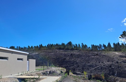 Caledon Appartement | Treyntjes Rivier Cottages