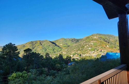 Summerhaven Cabine | Tri-level Cabin Retreat-Privacy & Views!