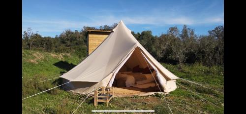 Silves Autre | Tribu Lodge